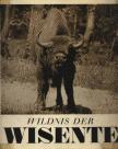 Körner, Albrecht, Rainer R. Vetter - Wildnis der Wisente [antikvár]