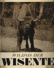 Körner, Albrecht, Rainer R. Vetter - Wildnis der Wisente [antikvár]