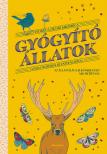 Federica Zizzari Kikosmica - Gyógyító állatok