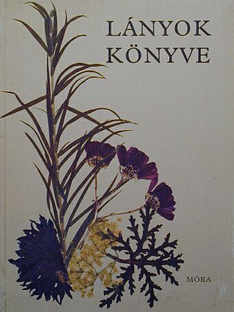 Havas Lujza - Lányok könyve [antikvár]