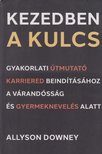 Allyson Downey - Kezedben a kulcs [antikvár]