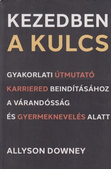 Allyson Downey - Kezedben a kulcs [antikvár]