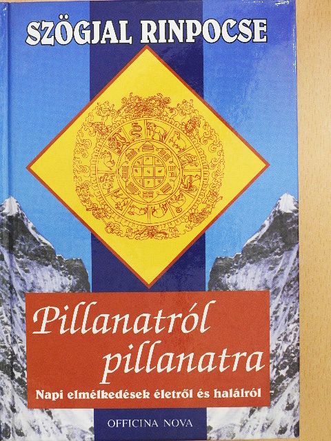 Szögjal Rinpocse - Pillanatról pillanatra [antikvár]