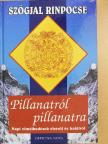 Szögjal Rinpocse - Pillanatról pillanatra [antikvár]