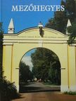 Balanyi Miklós - Mezőhegyes képes albuma [antikvár]