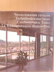 Antonín Faltys - Tschechoslowakei heute/Czechoslovakia Today/La Tchécoslovaquie d'aujourd'hui [antikvár]
