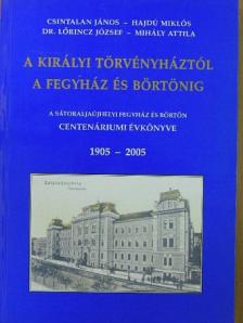 Csintalan János - A Királyi Törvényháztól a Fegyház és Börtönig [antikvár]