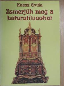 Kaesz Gyula - Ismerjük meg a bútorstílusokat [antikvár]