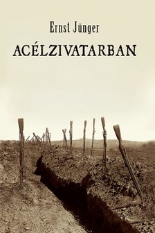 Ernst Jünger - Acélzivatarban [eKönyv: epub, mobi]