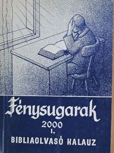 Fénysugarak 2000. I. [antikvár]