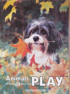 K. M. Kostyal - Animals at Play [antikvár]