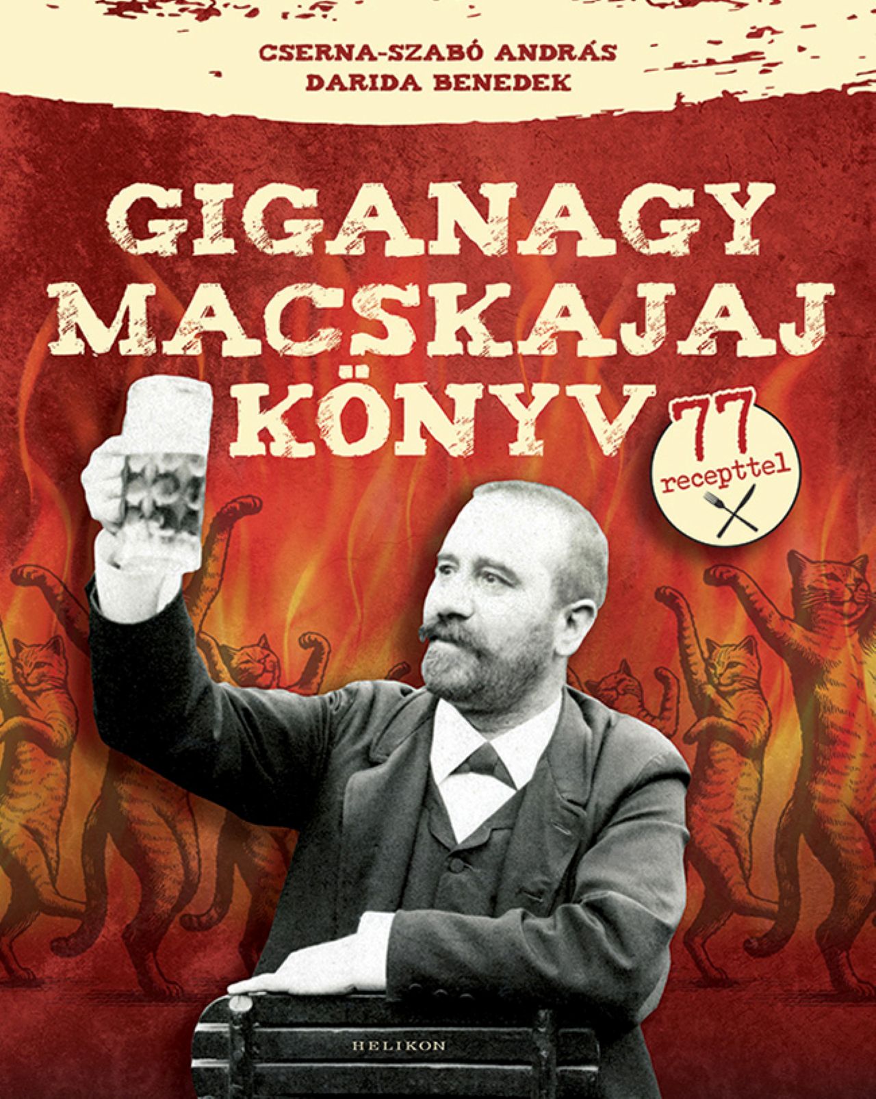 Darida Benedek-Cserna-Szabó Anrdás - Giganagy macskajajkönyv