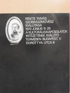 Fekete Tamás szobrászművész kiállítása [antikvár]