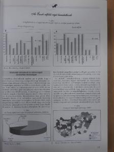 Balcsók István - Észak-Alföldi Régió [antikvár]