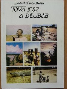 Bálintné Kis Beáta - Tóvá lesz a délibáb [antikvár]