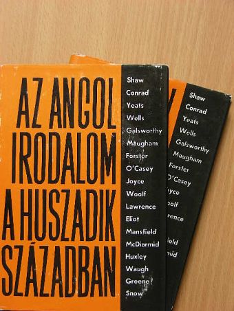 Hernádi Miklós - Az angol irodalom a huszadik században I-II. [antikvár]