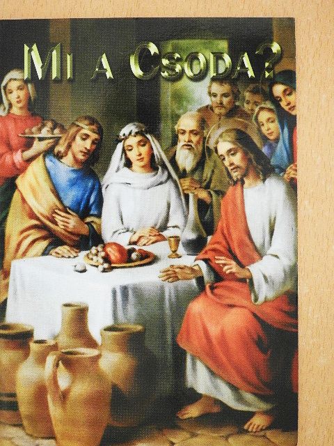 Turcsik György - Mi a csoda? [antikvár]