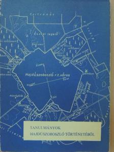 Erdei Gyula - Tanulmányok Hajdúszoboszló történetéből 1867-1919 [antikvár]