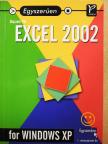 Baczoni Pál - Egyszerűen Excel 2002 for Windows XP [antikvár]