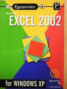Baczoni Pál - Egyszerűen Excel 2002 for Windows XP [antikvár]