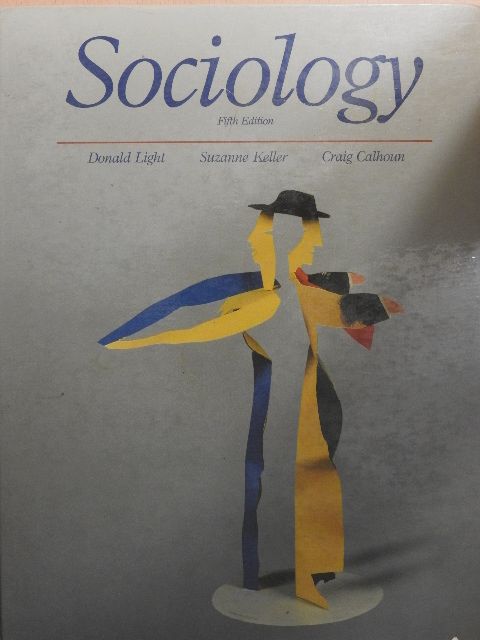 Craig Calhoun - Sociology  [antikvár]
