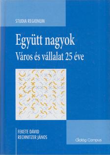 Fekete Dávid, Rechnitzer János - Együtt nagyok - Város és vállalat 25 éve [antikvár]