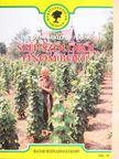 Dr. Szent-Miklóssy Ferenc - Szép szőlőből finom bort! [antikvár]
