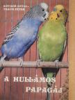 Kovács Antal - A hullámos papagáj [antikvár]