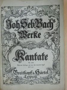 Joh. Seb. Bach - Kantate Nr. 208 [antikvár]