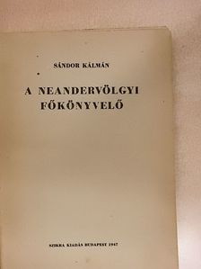 Sándor Kálmán - A neandervölgyi főkönyvelő [antikvár]