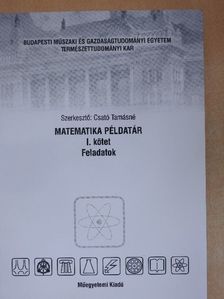Matematika példatár I. [antikvár]