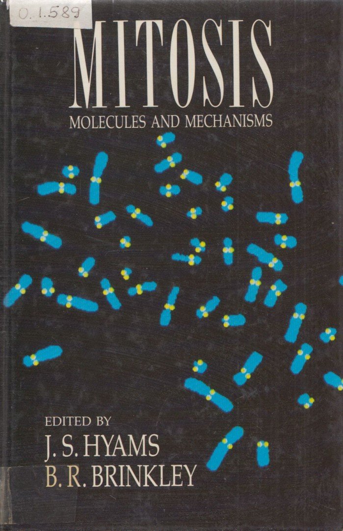 J.S. Hyams, B.R. Brinkley - Mitosis [antikvár]