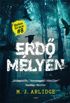 M. J. Arlidge - Erdő mélyén [eKönyv: epub, mobi]