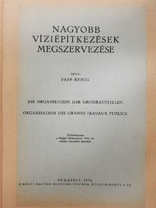 Papp Remig - Nagyobb víziépítkezések megszervezése [antikvár]