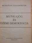 Munkajog és üzemi demokrácia [antikvár]