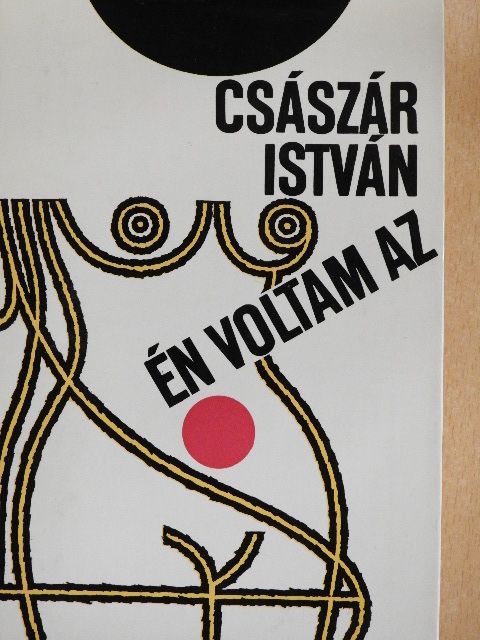 Császár István - Én voltam az [antikvár]