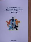 Borsodi Csilla Noémi - A gyakorlótól a szakmai fejlesztő iskoláig [antikvár]
