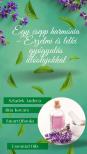Andrea Szladek - Egy csepp harmónia [eKönyv: epub, mobi]