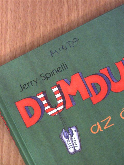 Jerry Spinelli - DumDum az ász [antikvár]