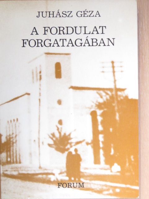 Juhász Géza - A fordulat forgatagában [antikvár]