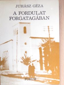 Juhász Géza - A fordulat forgatagában [antikvár]