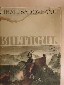 Mihail Sadoveanu - Baltagul [antikvár]