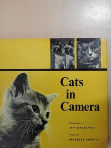 Cats in Camera [antikvár]