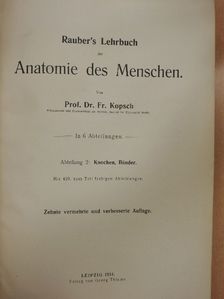 Prof. Dr. Fr. Kopsch - Rauber's Lehrbuch der Anatomie des Menschen 2. (töredék) [antikvár]