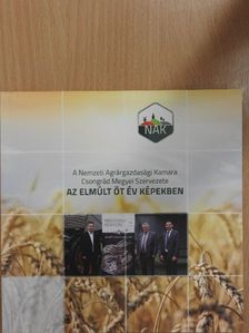 Az elmúlt öt év képekben [antikvár]