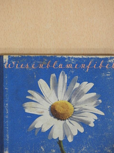 Eveline Amstutz - Wiesenblumenfibel [antikvár]