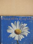 Eveline Amstutz - Wiesenblumenfibel [antikvár]