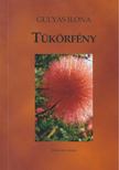 GULYÁS ILONA - Tükörfény [antikvár]