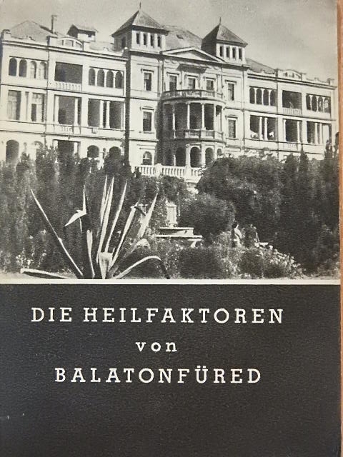 Dr. Debrőczi Tibor - Die Heilfaktoren von Balatonfüred [antikvár]