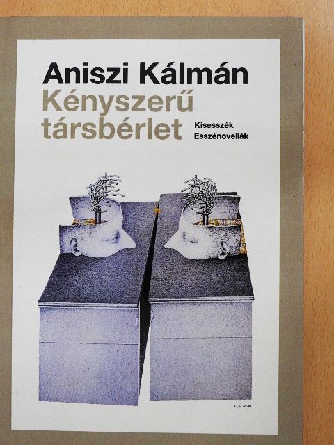 Aniszi Kálmán - Kényszerű társbérlet [antikvár]